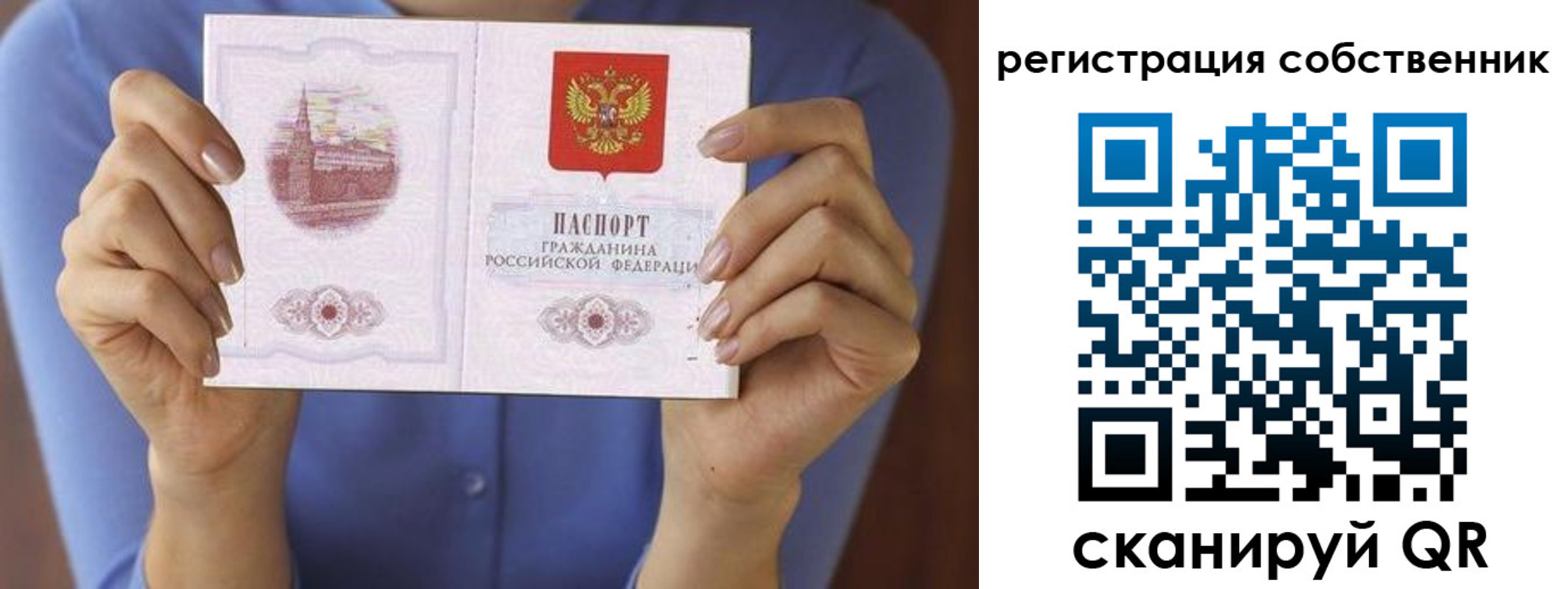 временная регистрация гарантия в Брянской области